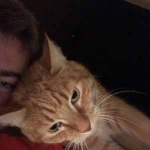 Meet your Posher, Grant